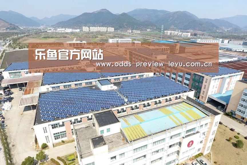 案例展示三
