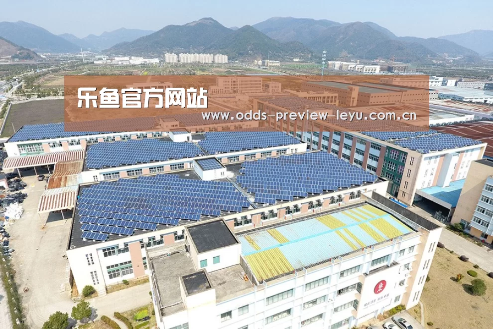 案例展示三