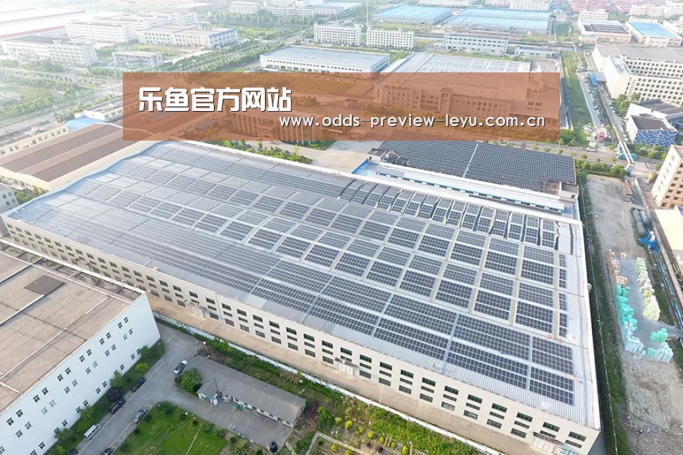 案例展示四